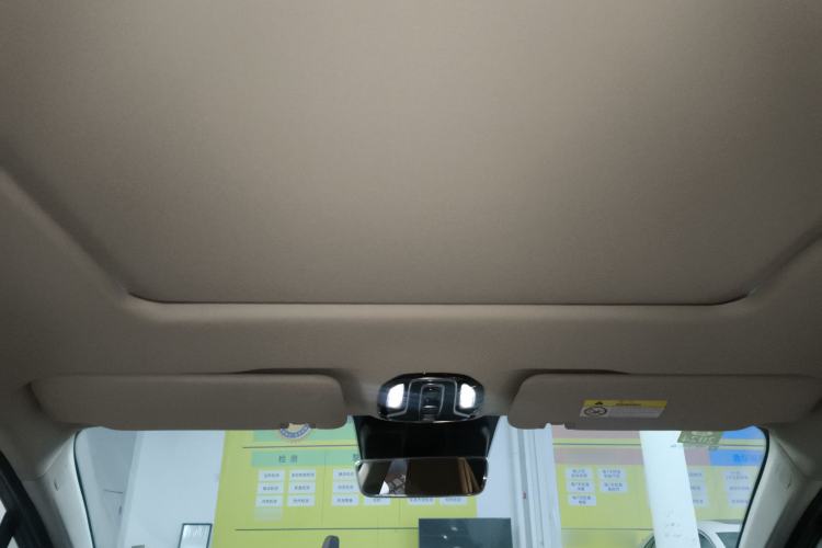 Used AION LX 2020 80 Prestige Edition Headliner
