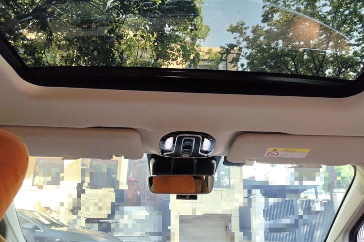 Used AION LX 2020 80 Prestige Edition Headliner