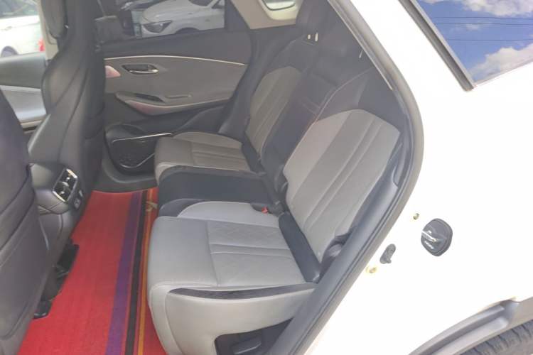 Used AION LX 2020 80D Intelligent Version Left Rear Seat