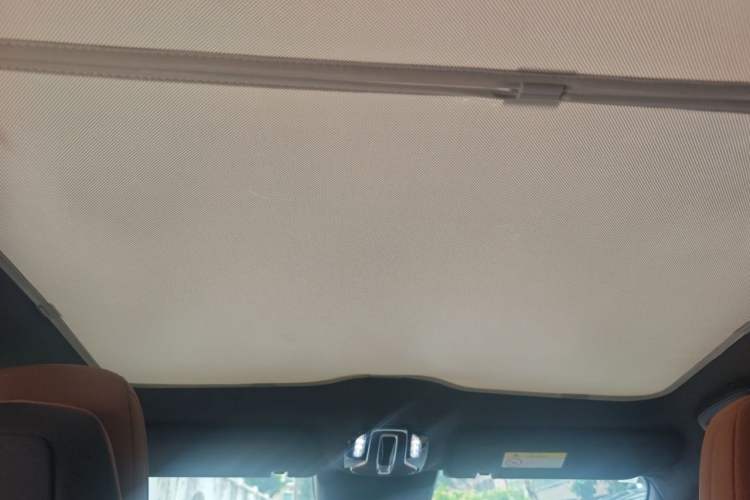 Used AION LX 2022 Plus 80D Flagship Edition Headliner