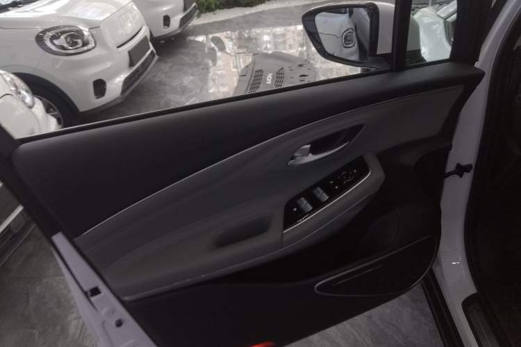 Used AION LX 2022 Plus 80 Smart Premium Edition Left Front Door Interior