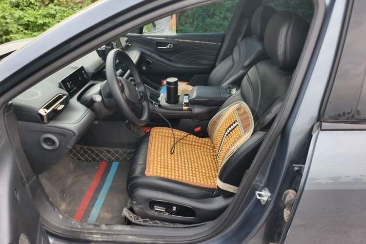 Used AION RT 2025 520 Smart Luxury Edition Left Front Seat
