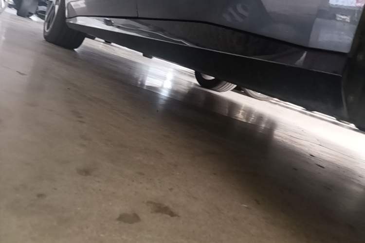 Used AION RT 2025 650 LiDAR Edition Left Side Sill