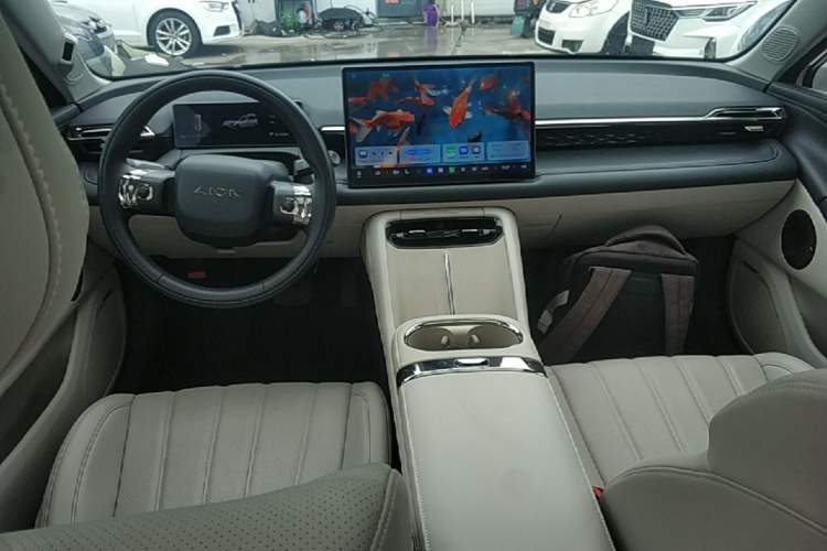 Used AION RT 2025 650 LiDAR Edition Center Console