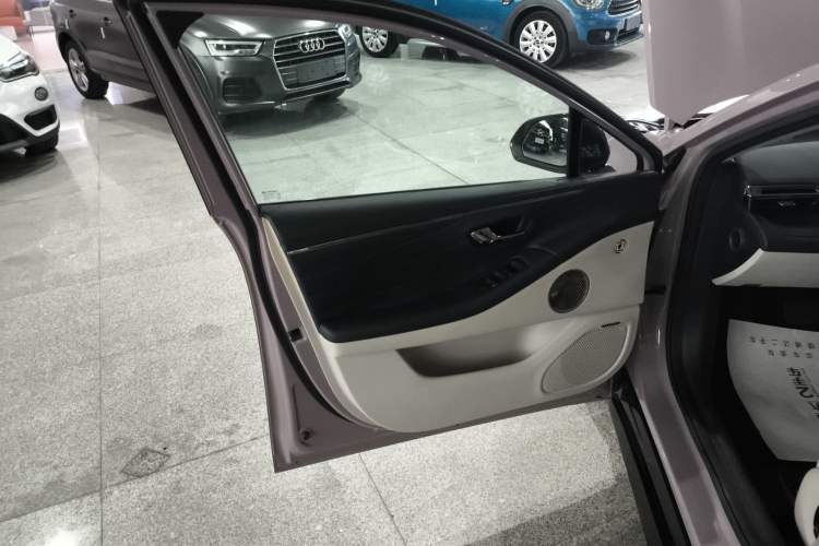Used AION RT 2025 650 LiDAR Edition Left Front Door Interior