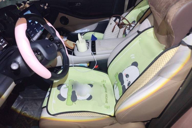 Used AION RT 2025 650 LiDAR Edition Left Front Seat