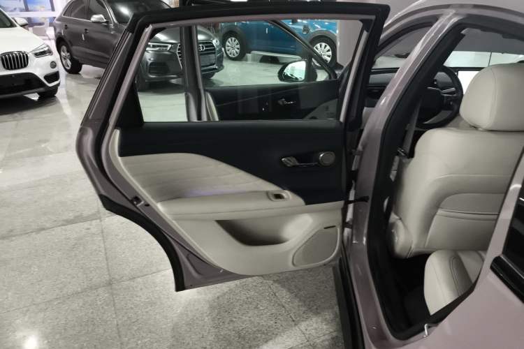 Used AION RT 2025 650 LiDAR Edition Left Rear Door Interior