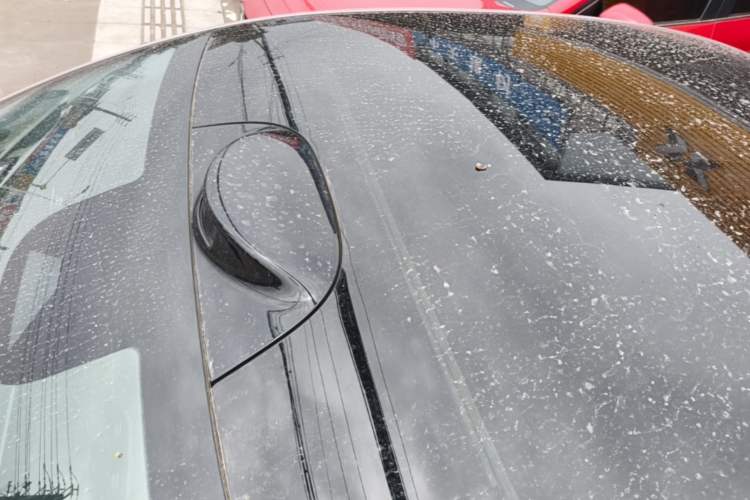 Used AION RT 2025 650 LiDAR Edition Roof