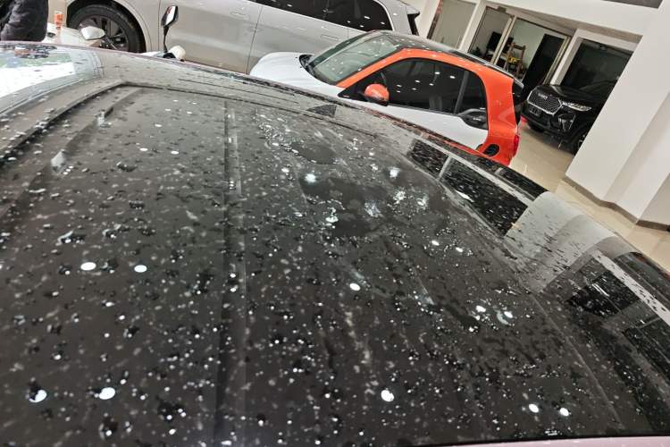 Used AION RT 2025 650 LiDAR Edition Roof