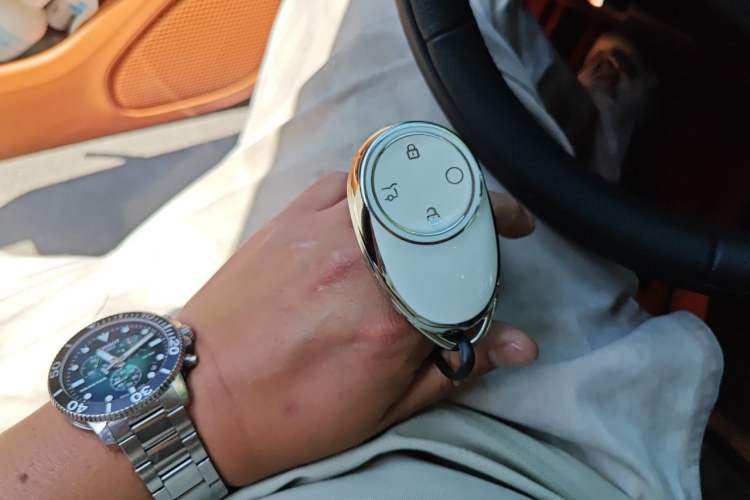 Used AION RT 2025 520 Smart Luxury Edition Vehicle Key