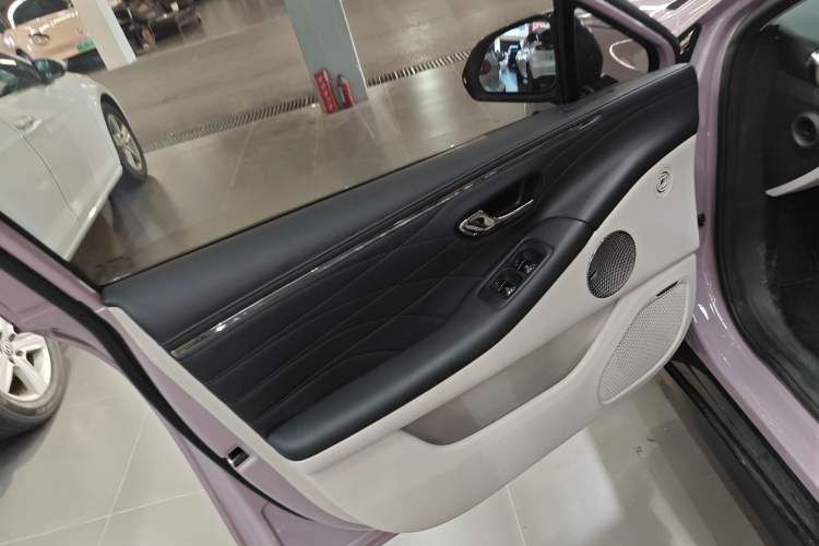 Used AION RT 2025 650 LiDAR Edition Left Front Door Interior