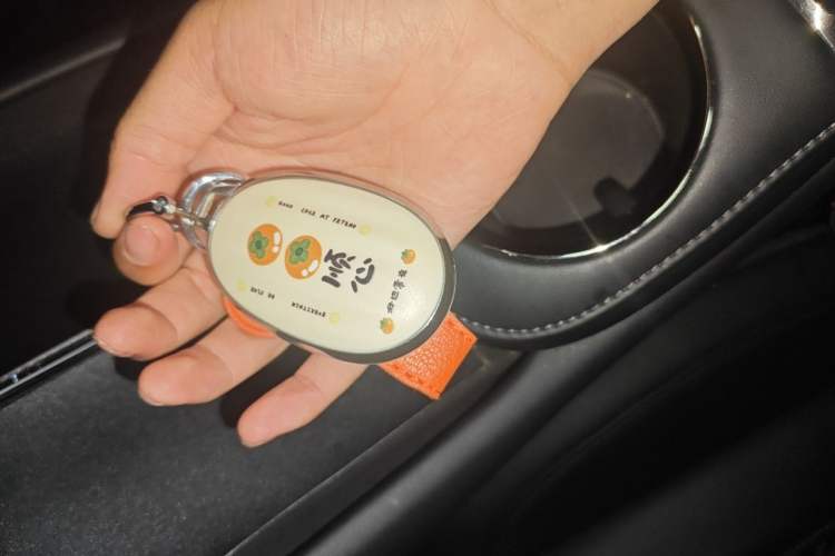 Used AION RT 2025 520 Smart Luxury Edition Vehicle Key