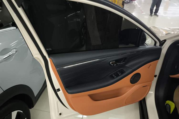Used AION RT 2025 650 Zhijihao Edition Left Front Door Interior