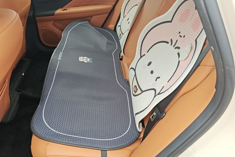 Used AION RT 2025 520 Smart Luxury Edition Left Rear Seat