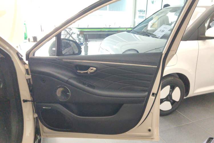 Used AION RT 2025 520 Smart Enjoy Edition Right Front Door Interior