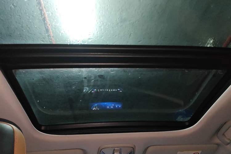 Used AION S 2019 Meizu Evo 630 Headliner