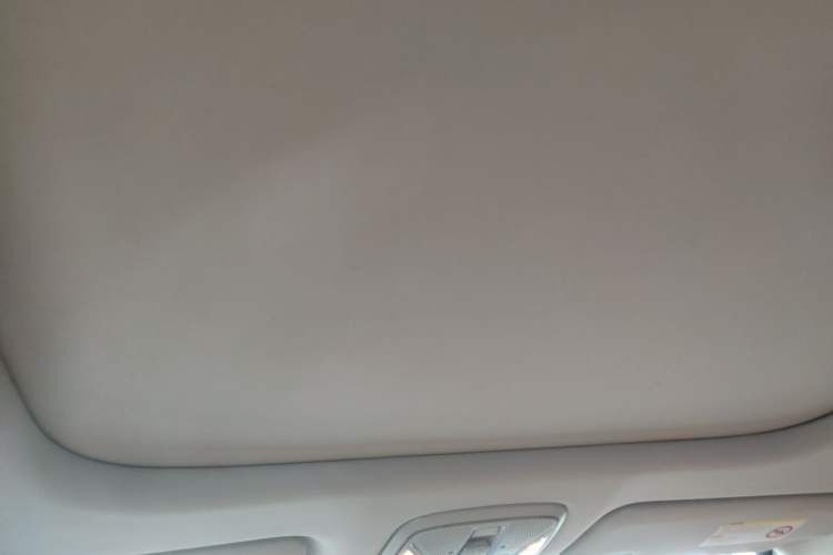 Used AION S 2019 Max 630 Headliner