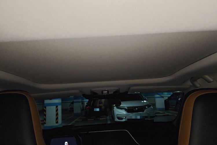Used AION S 2019 Meizu Evo 630 Headliner