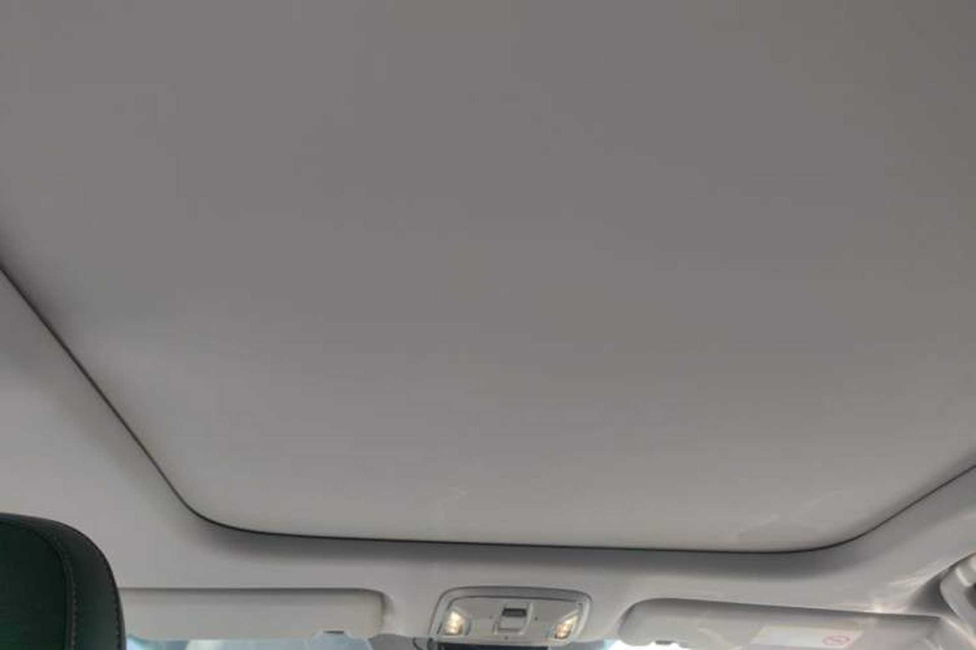 Used AION S 2019 Meizu Evo 630 Headliner