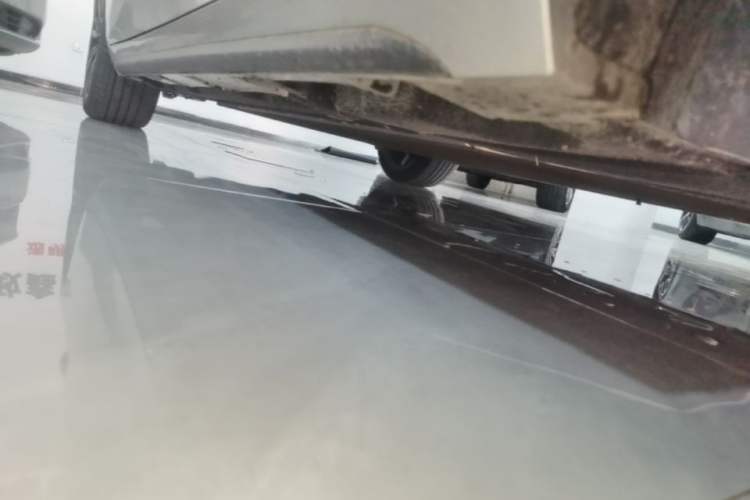Used AION S 2019 Meizu Evo 630 Right Side Sill