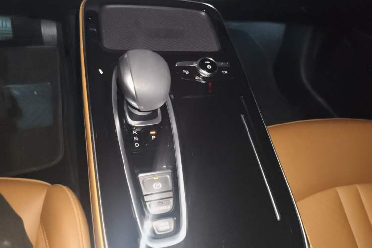 Used AION S 2019 Max 630 Gear Lever