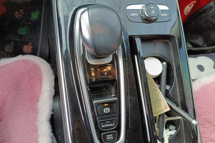 Used AION S 2019 Meizu Evo 630 Gear Lever