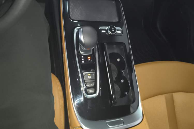 Used AION S 2019 Meizu 530 Gear Lever