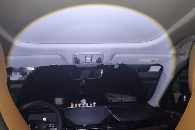 Used AION S 2019 Max 630 Headliner