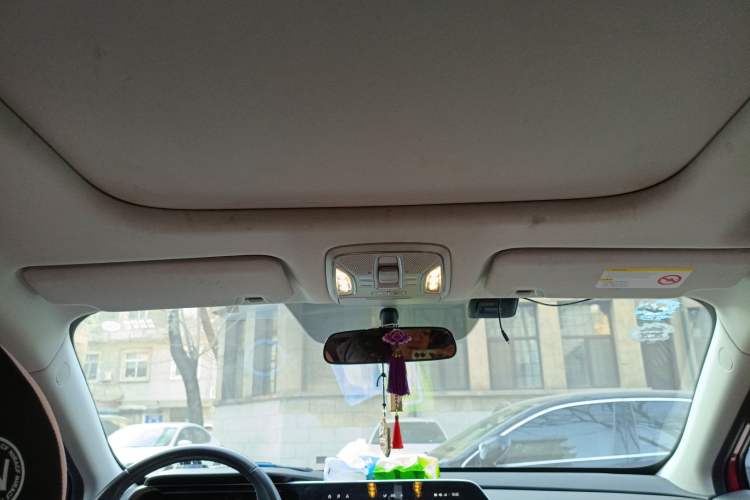 Used AION S 2019 Meizu Evo 630 Headliner