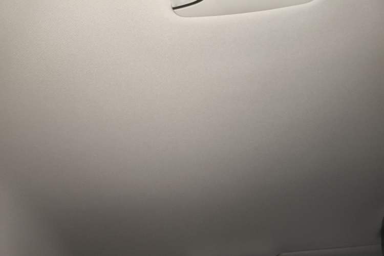 Used AION S 2019 Meizu 530 Headliner