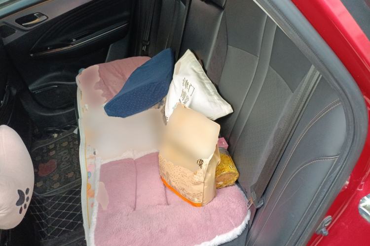Used AION S 2019 Meizu Evo 630 Left Rear Seat