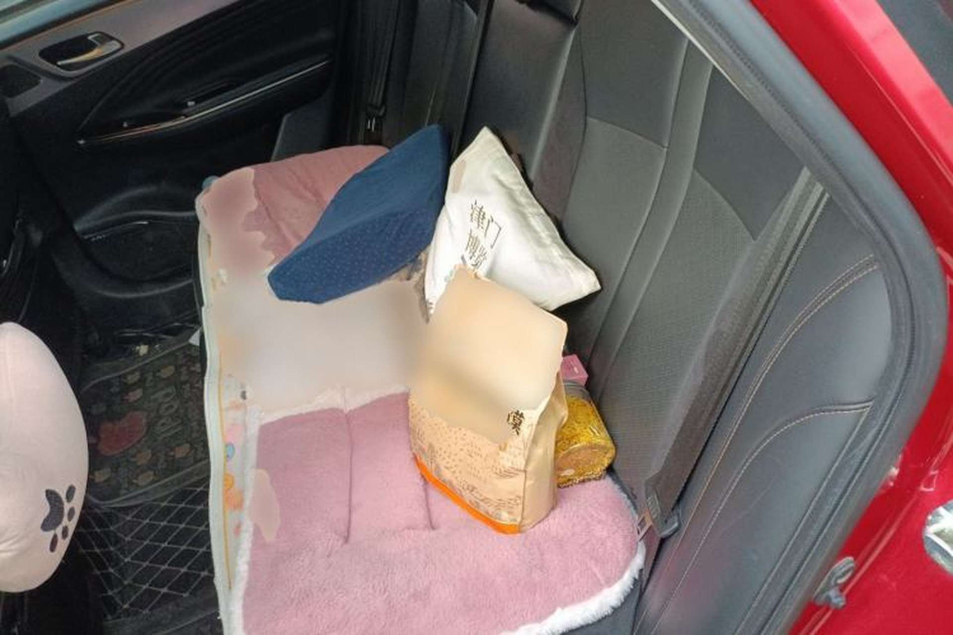 Used AION S 2019 Meizu Evo 630 Left Rear Seat