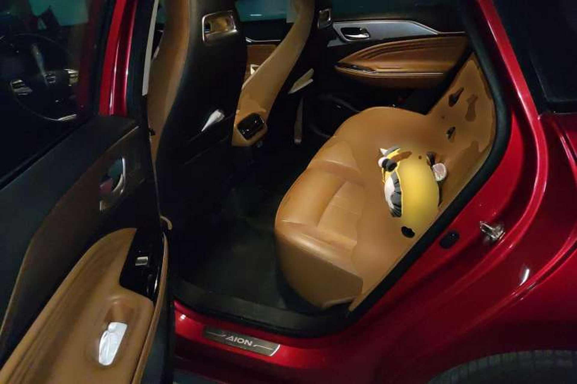 Used AION S 2019 Meizu Evo 630 Left Rear Seat
