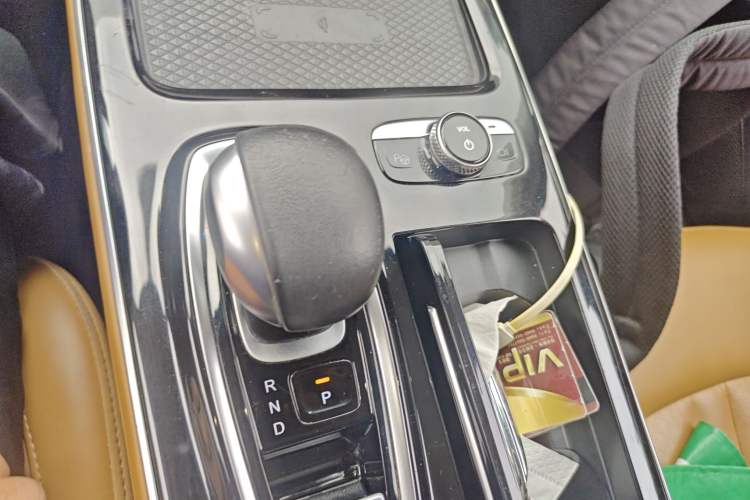 Used AION S 2019 Max 630 Gear Lever