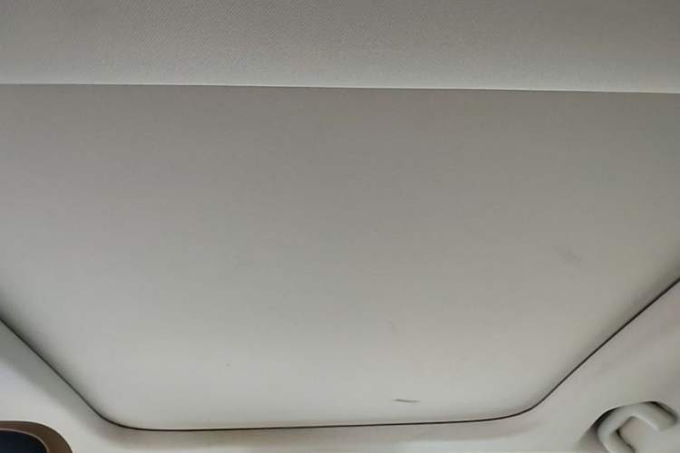Used AION S 2019 Meizu Evo 630 Headliner