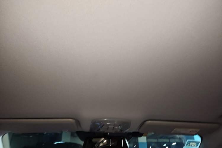 Used AION S 2019 Meizu 630 Headliner