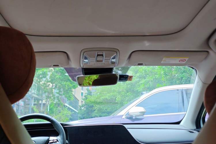 Used AION S 2019 Max 630 Headliner