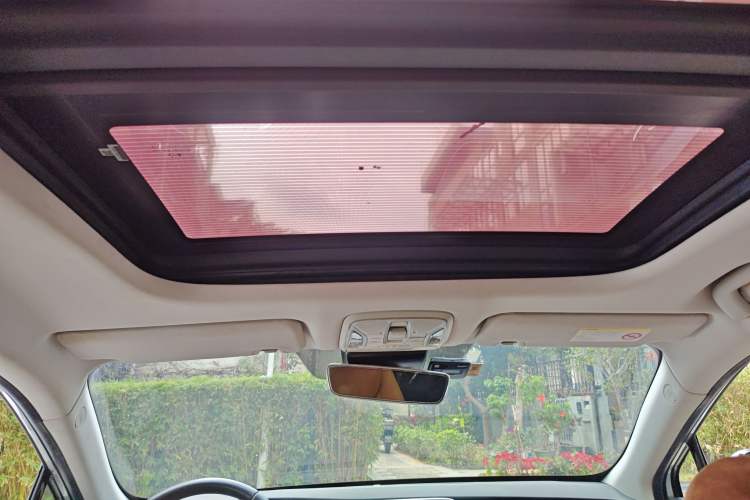 Used AION S 2019 Max 630 Headliner
