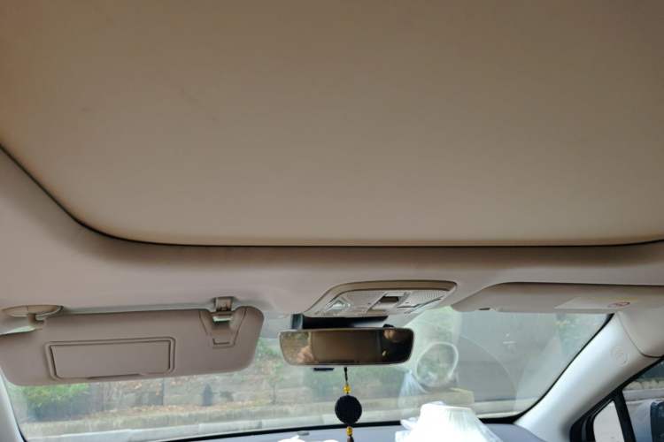 Used AION S 2019 Max 630 Headliner
