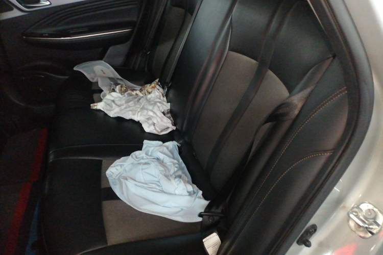 Used AION S 2019 Meizu 530 Interior 4