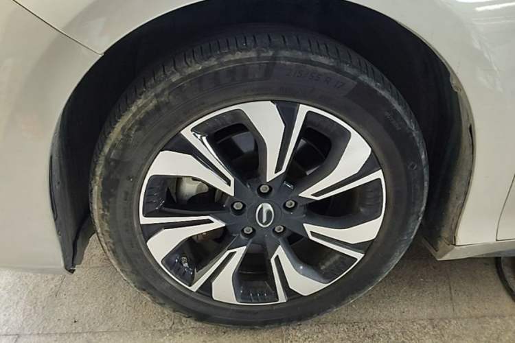 Used AION S 2019 Meizu Evo 630 Left Front Wheel Hub