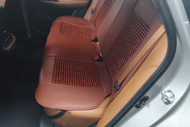 Used AION S 2019 Meizu 530 Left Rear Seat