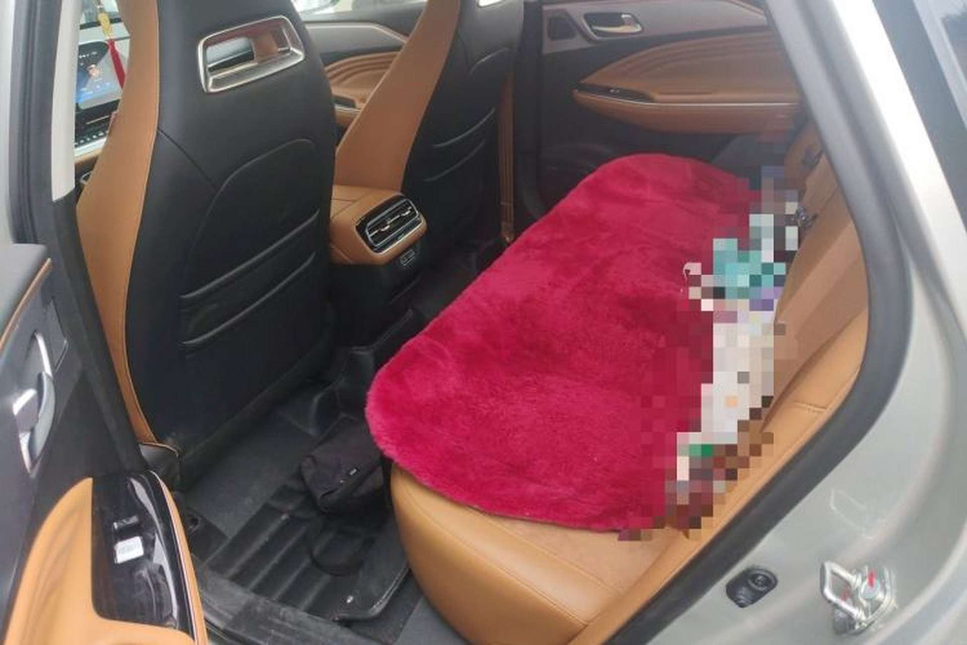 Used AION S 2019 Meizu Evo 630 Left Rear Seat