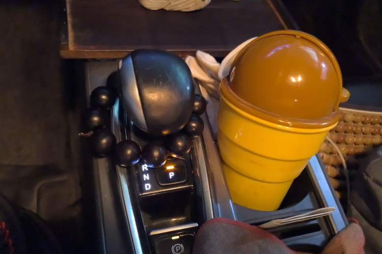 Used AION S 2019 Xuan 530 Gear Lever
