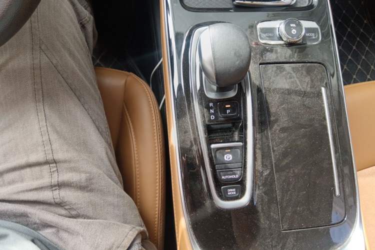 Used AION S 2019 Meizu 530 Gear Lever