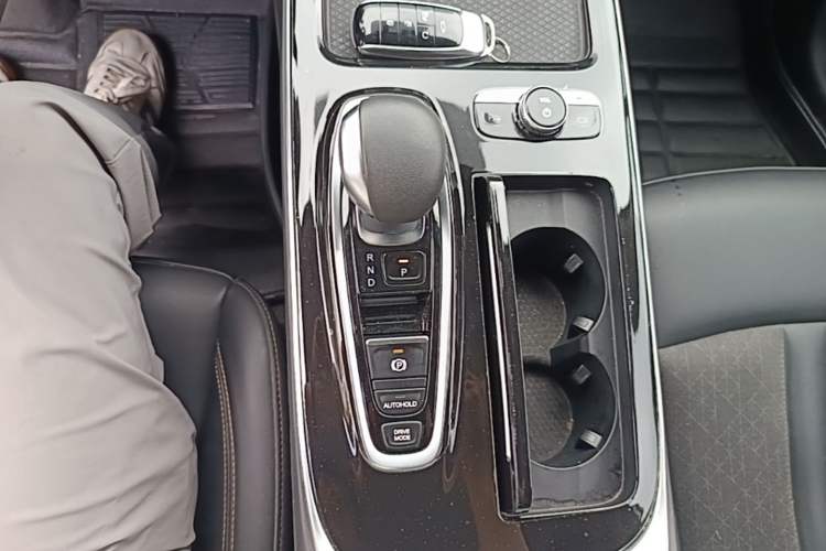 Used AION S 2019 Meizu Evo 630 Gear Lever