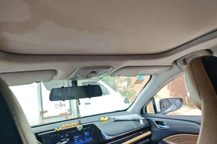 Used AION S 2019 Meizu Evo 630 Headliner