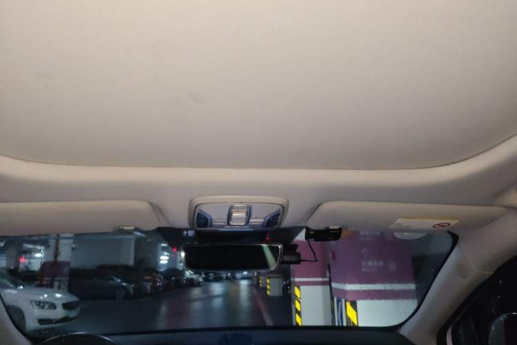 Used AION S 2019 Max 630 Headliner