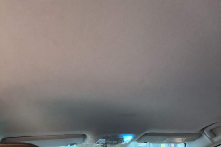 Used AION S 2019 Meizu 530 Headliner