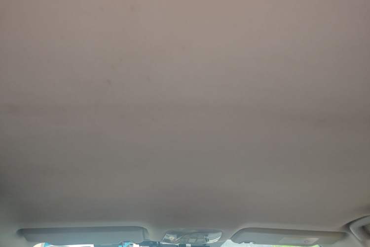 Used AION S 2019 Xuan 630 Headliner